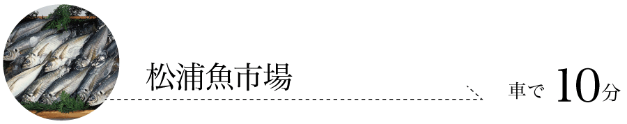 松浦魚市場　車で10分