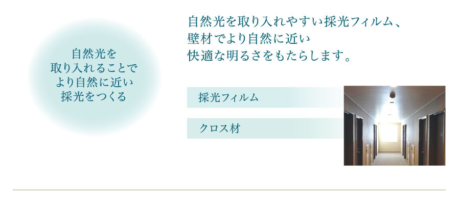 自然光を取り入れることでより自然に近い採光をつくる